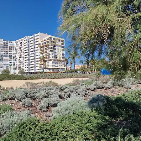 Apartament Albatros Beach-3 *